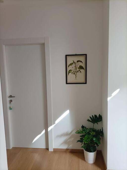 Loving My Rooms 1 - Deliziosa Mansarda In Centro Gorizia Eksteriør bilde
